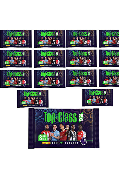 Panini Oyun Kartları