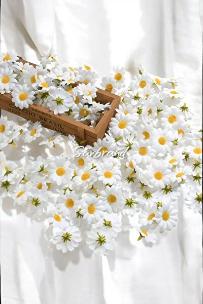 Vizyon Çiçek Yapay Çiçek, Meyve