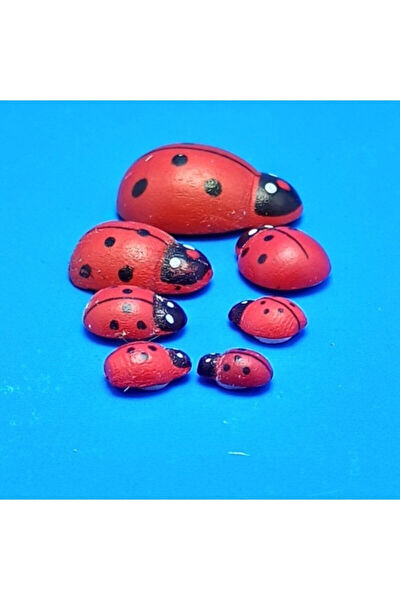 Gifted Dekoratif Obje, Biblo, Figür