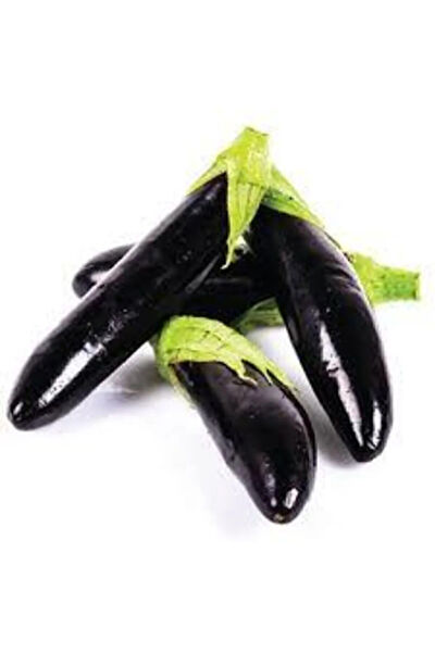 Murat Tohumculuk Tohum