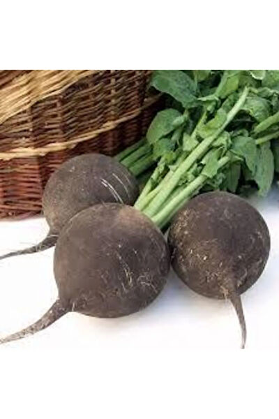 Murat Tohumculuk Tohum