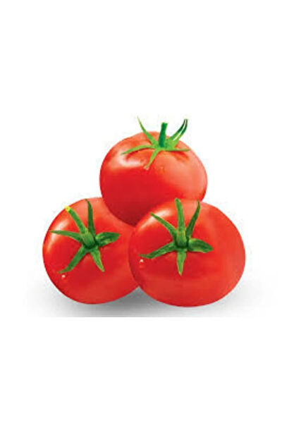 Murat Tohumculuk Tohum