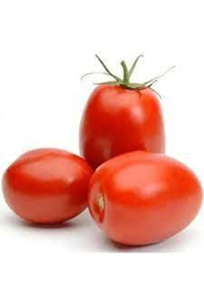 Murat Tohumculuk Tohum