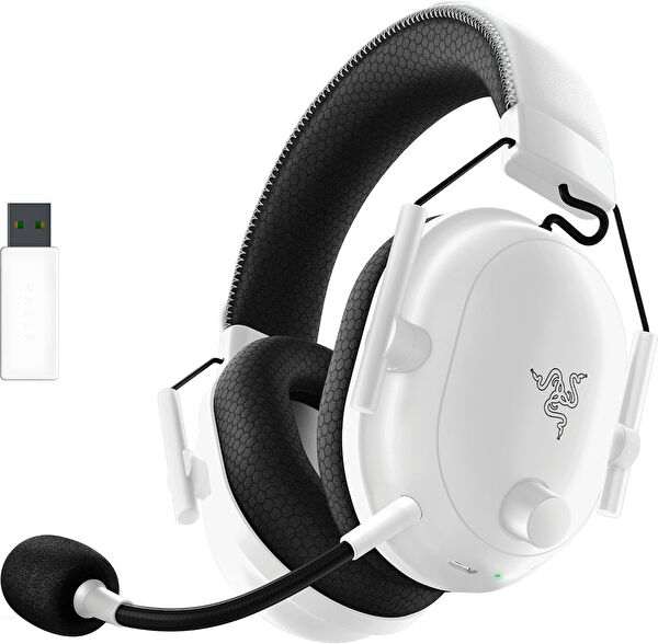 Razer Kulaklık