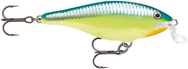 RAPALA Yem Bandı