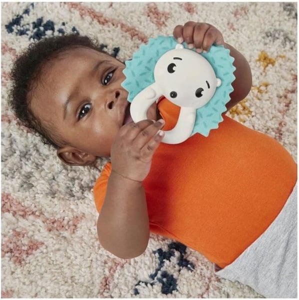 Fisher-Price Bebek Oyuncakları