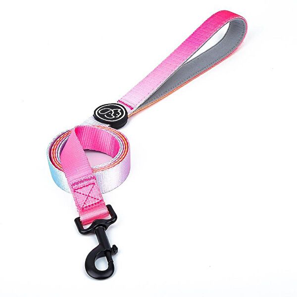 Petza Köpek Tasmaları