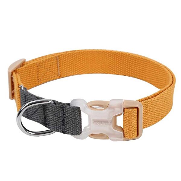 Petza Köpek Tasmaları