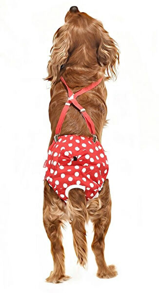 Petza Köpek Elbisesi