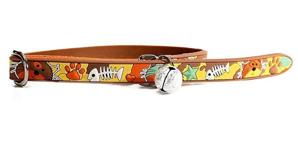 Petza Kedi Tasmaları ve İsimlikler