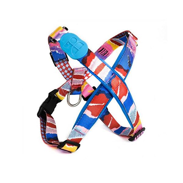 Petza Köpek Tasmaları