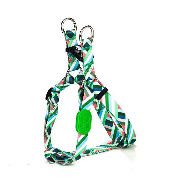 Petza Köpek Tasmaları