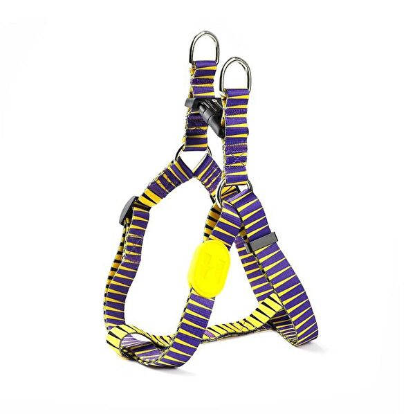 Petza Köpek Tasmaları