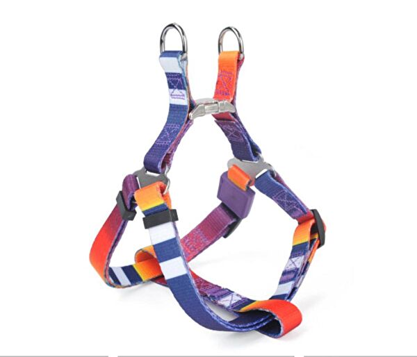 Petza Köpek Tasmaları