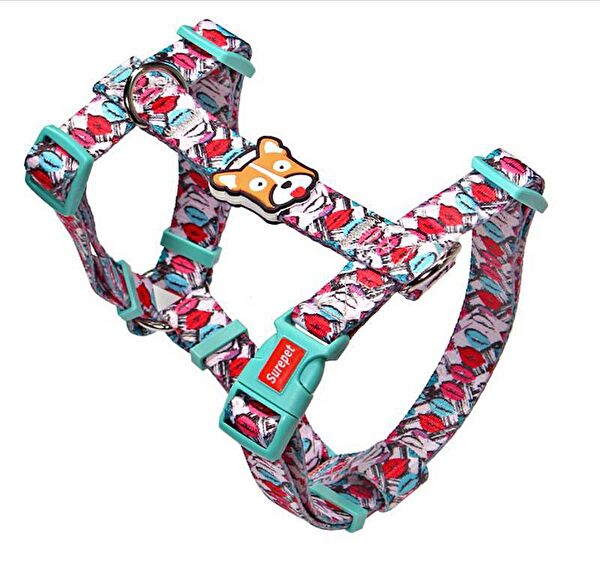 Petza Köpek Tasmaları