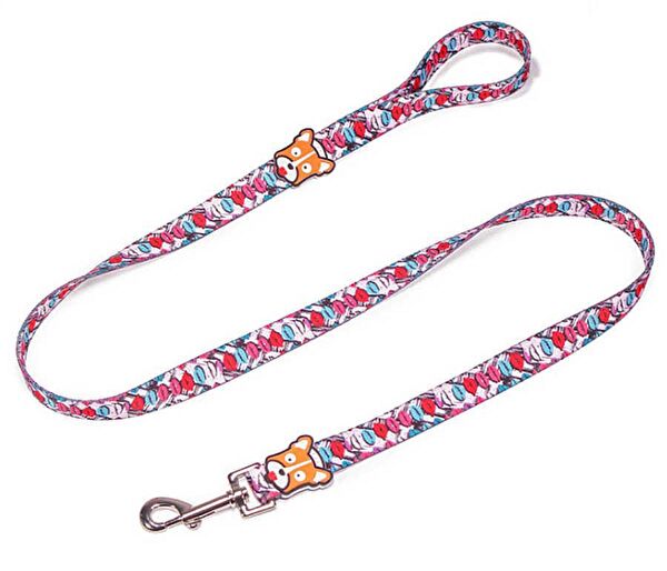 Petza Köpek Tasmaları