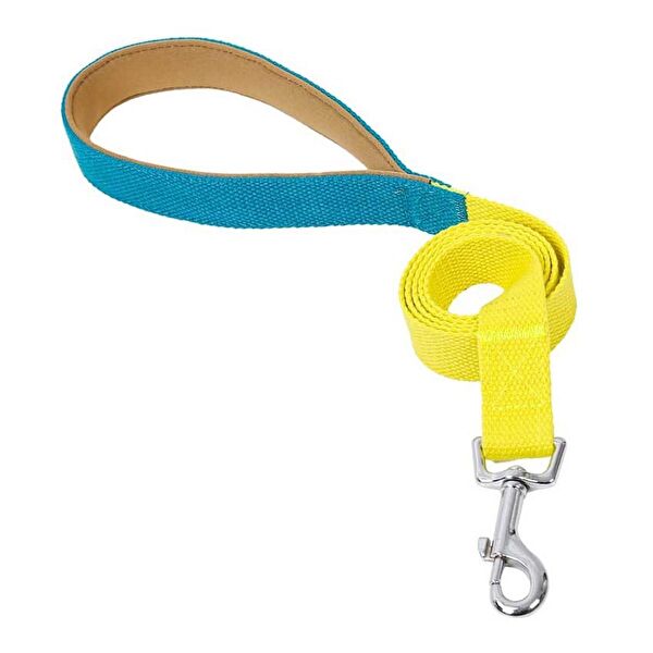 Petza Köpek Tasmaları