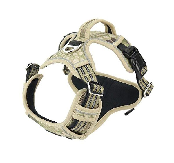 Petza Köpek Tasmaları