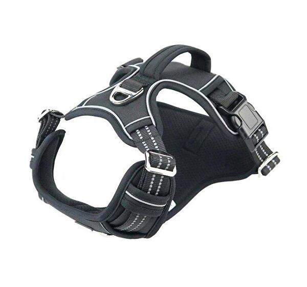 Petza Köpek Tasmaları