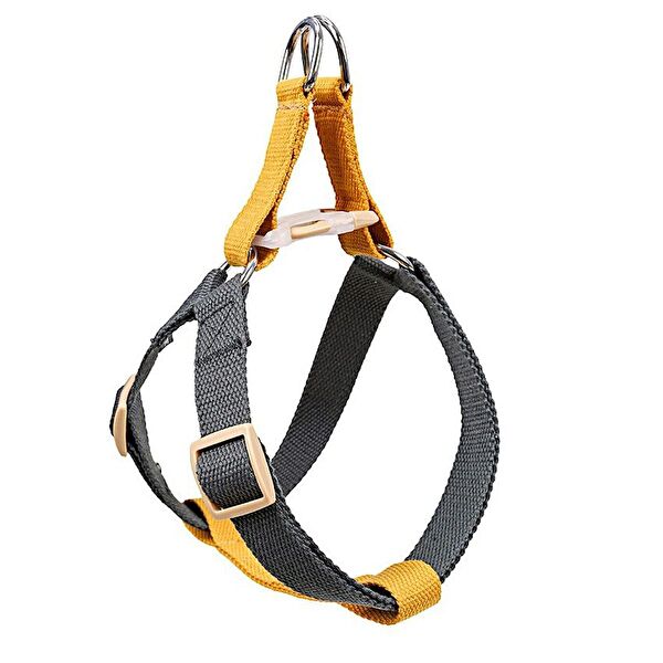 Petza Köpek Tasmaları