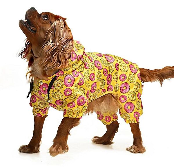 Petza Köpek Elbisesi