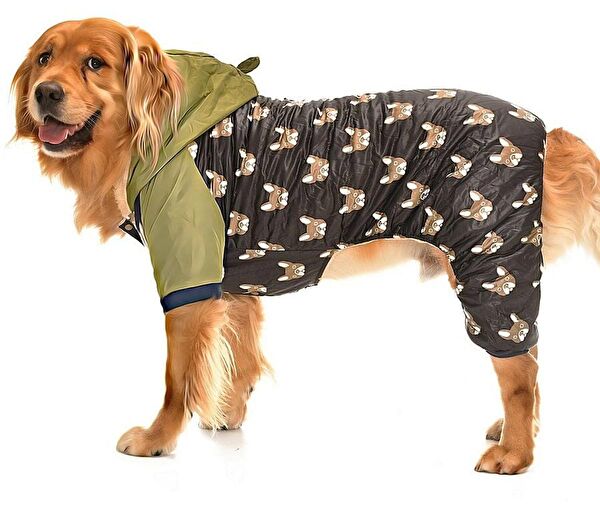 Petza Köpek Elbisesi