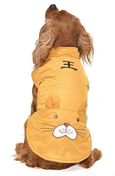 Petza Köpek Elbisesi