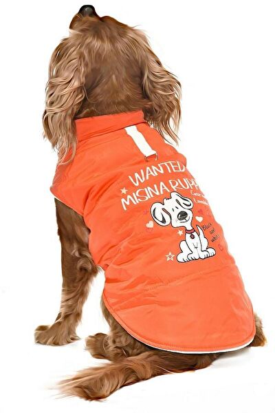 Petza Köpek Elbisesi