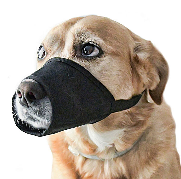 Petza Köpek Güvenlik