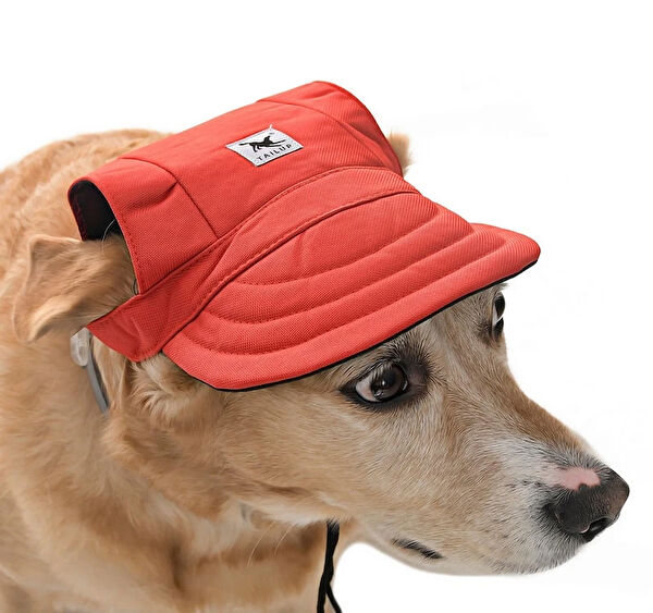 Petza Köpek Elbisesi