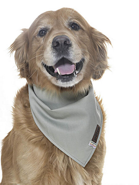 Petza Köpek Taşıma Çantası, Aksesuarları