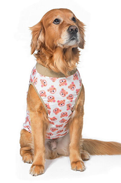 Petza Köpek Elbisesi