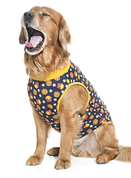 Petza Köpek Elbisesi