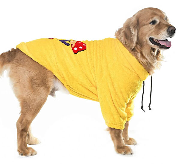 Petza Köpek Kafesi, Aksesuarları