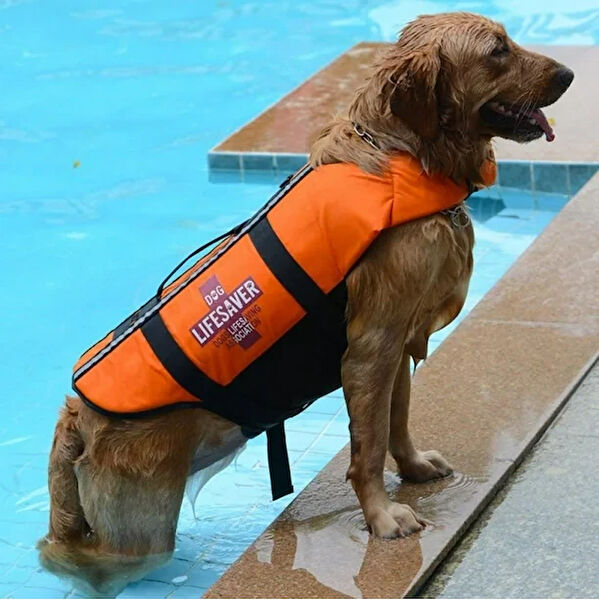 Petza Köpek Elbisesi