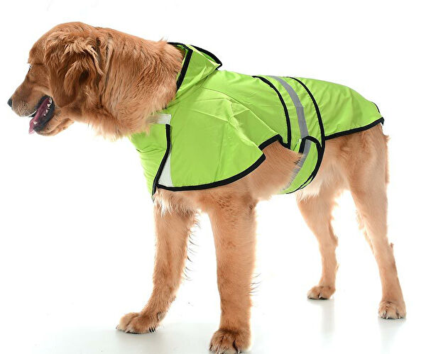 Petza Köpek Elbisesi