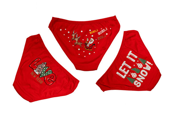 Alfa Aksesuar 03 İç Çamaşır Takımı