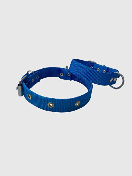 Tasma Atalier Köpek Tasmaları