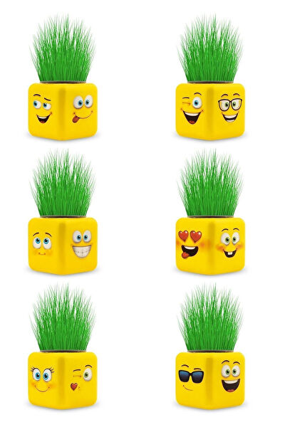 SPOR35 Eğitici Oyuncaklar