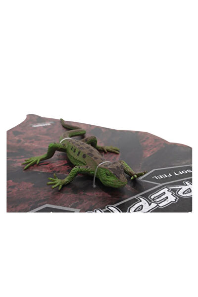 SPOR35 Eğitici Oyuncaklar