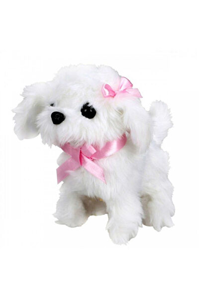 AMALFİ Köpek Oyuncakları