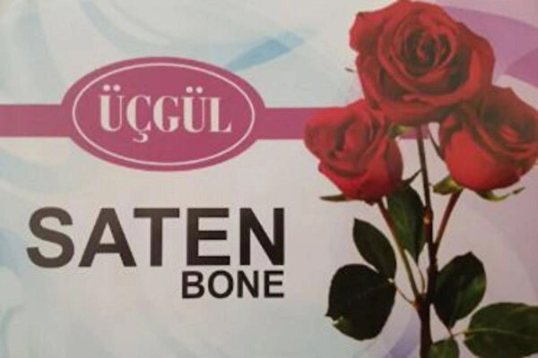 Diğer Pi Sistemler Tesettür Bone
