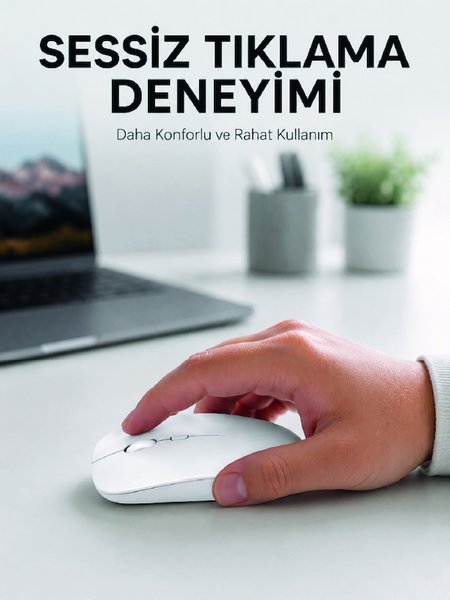 Toyigoo Mouse