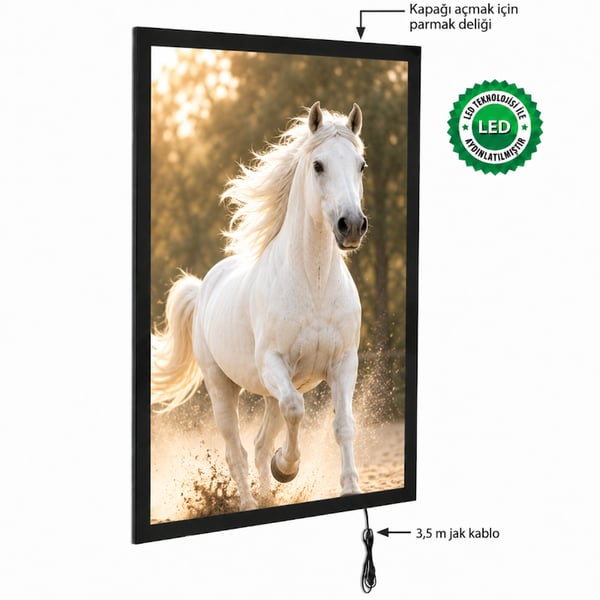 Snapper Led Işıklı Tablo