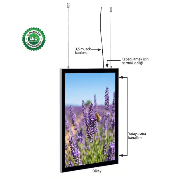 Snapper Led Işıklı Tablo