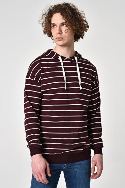 Alexander Gardi Erkek Sweatshirt