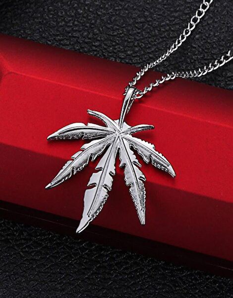 Consciencia Kolye, Zincir, Künye