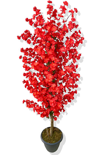 CİHAN ÇİÇEKÇİLİK Yapay Çiçek, Meyve