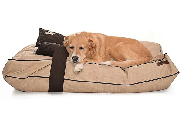 Petza Köpek Yatağı