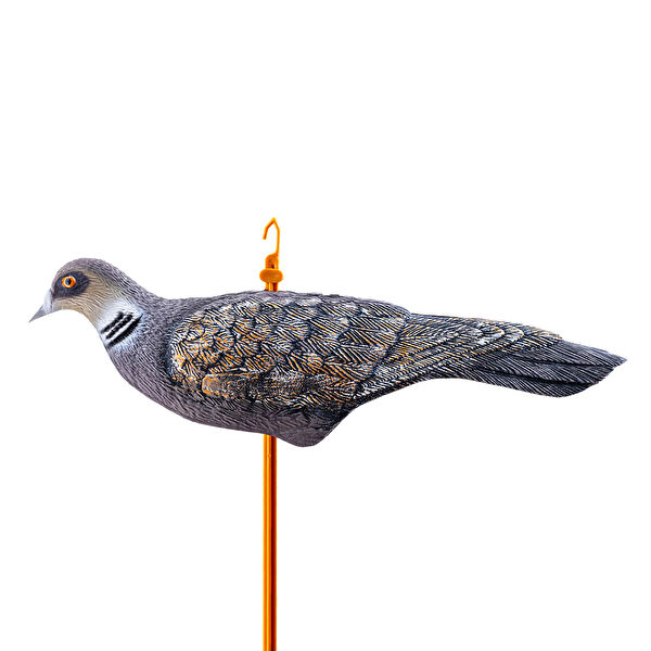 Asyaink Tuzak ve Ağlar